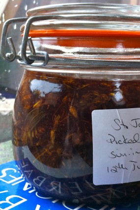 St. John's Wort (Hypericum perforatum) infused in olive oil, 19 days on